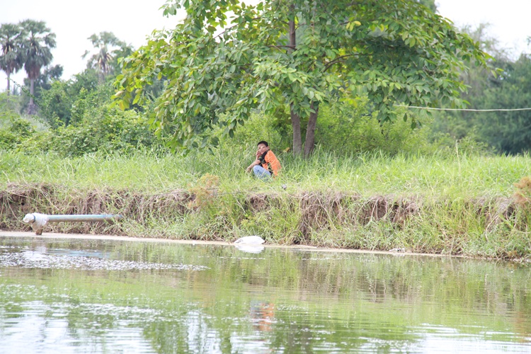 เงียบเลย