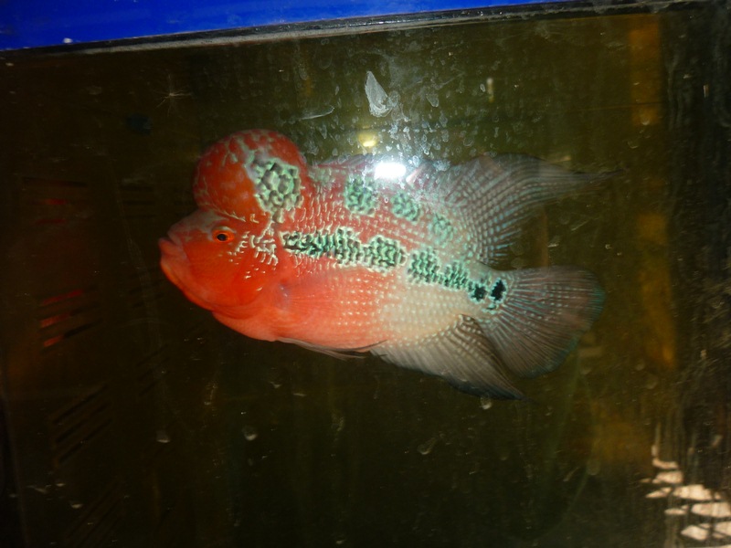 [q][i]อ้างถึง: somjitp2009 posted: 08-07-2554, 16:00:41[/i]

 :cheer: :cheer: :cheer:[/q]
[q][i]อ