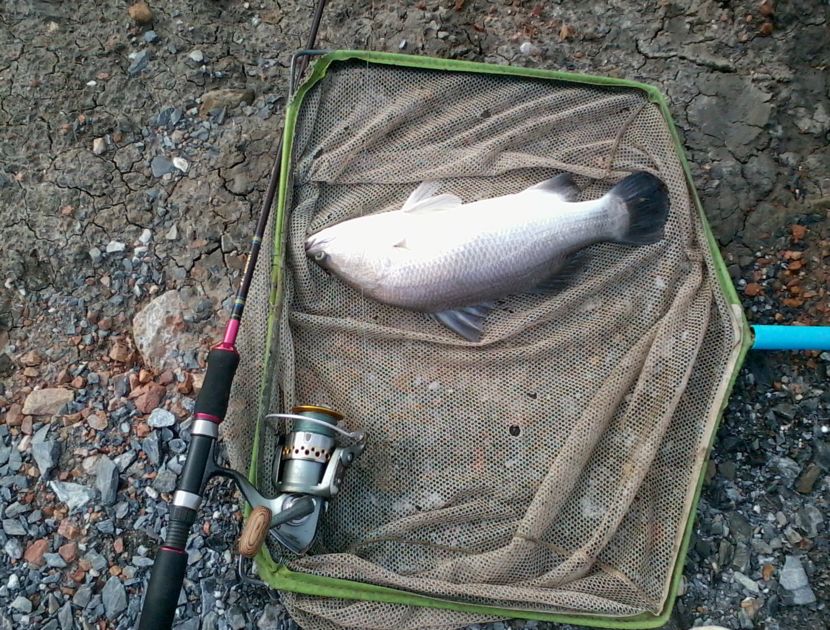 fisher clup first trip