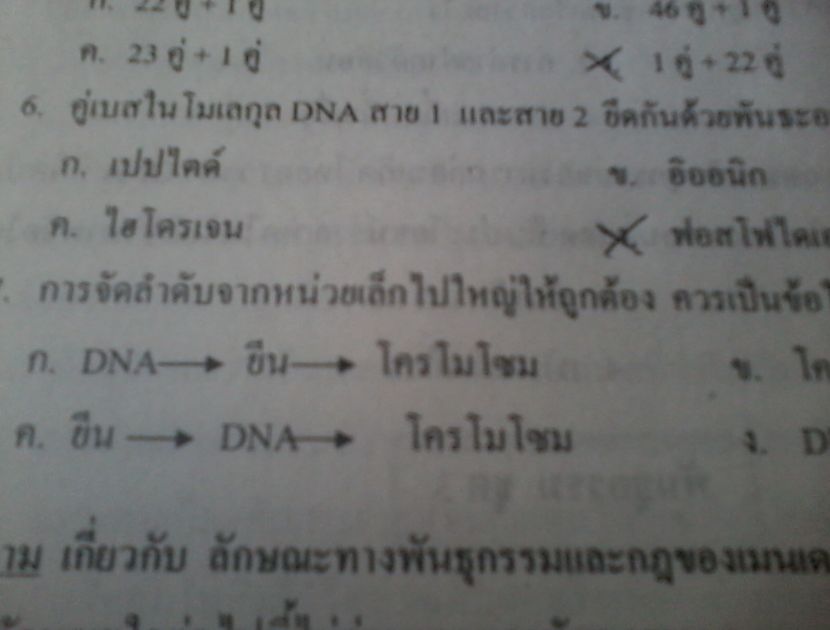 เเต่ดูเเต่ละข้อสิครับ กว่าจะเสร็จ :shocked: