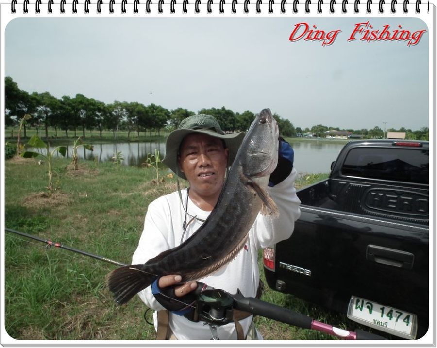 ขออีกภาพ จะหลับตาทำไมเนี่ย  :mad: :mad: :mad: :mad: :mad: :mad: