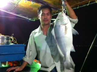ตกกลางคืนไต๋พาไปตามหาปลาช่อนคับลงไปได้ไอ้นี่รับแขกก่อนเลย.....ไซร้เริ่มโตขึ้น