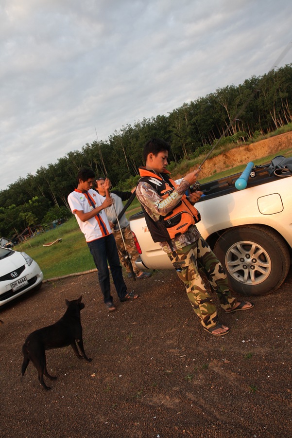 [q][i]อ้างถึง: tingzuza posted: 12-07-2554, 01:36:39[/i]

 :cheer: :cheer: :cheer:[/q] หวัดดีครับน