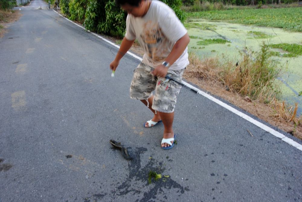 เกือบ อดแล้วไหม    ปลาจะกระโดด ลงน้ำ  :laughing: :laughing: :laughing: :laughing: