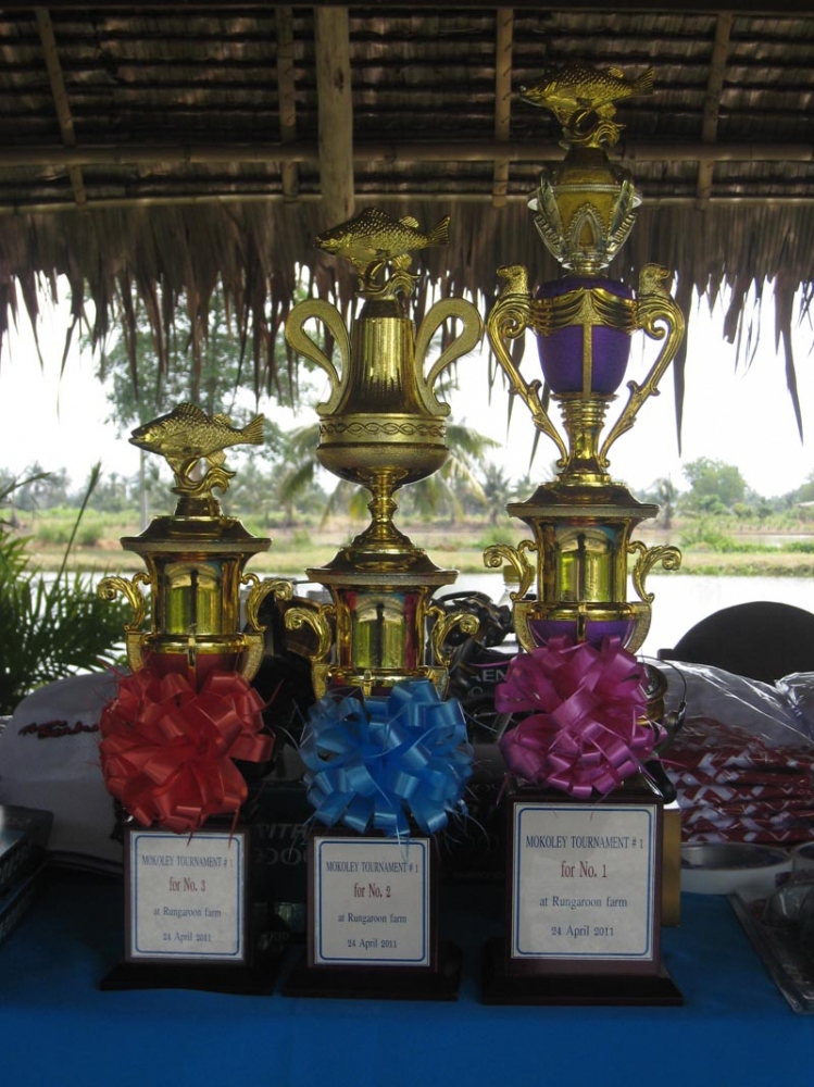 

ไปดู...ถ้วยรางวัล....สำหรับ...งานนี้......ครับ


 :cheer: :cheer: :cheer: :cheer: :cheer: