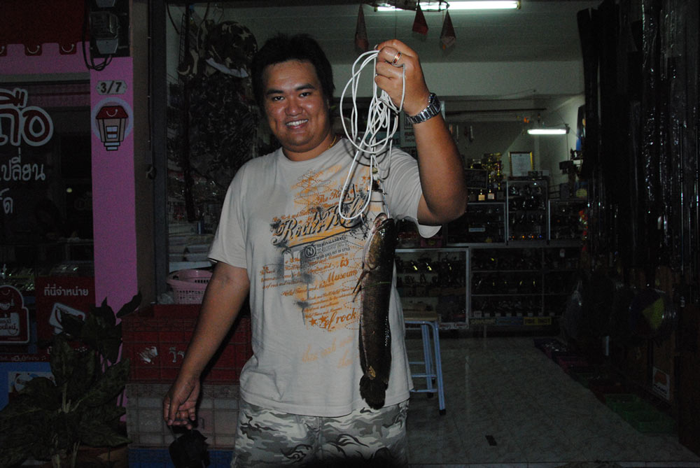  [b]สรุปแล้วด้ายตัวเดียว คับ[/b] :laughing: :laughing: :laughing: :laughing: :laughing: :laughing: :