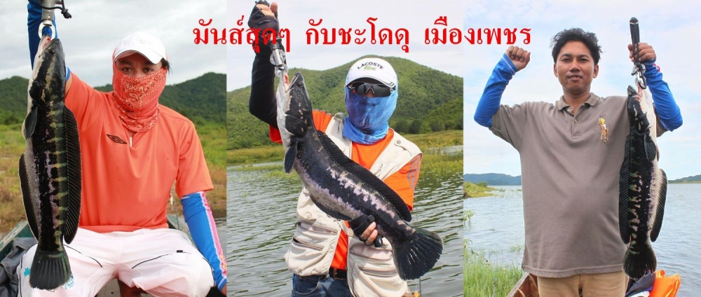 มันส์สุดๆ กับชะโดดุ เมืองเพชร