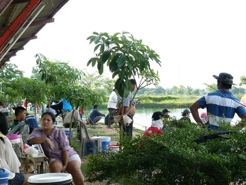 นี่ก้อกองเชียร์ครับ :love: :love: :music: :music: :music: