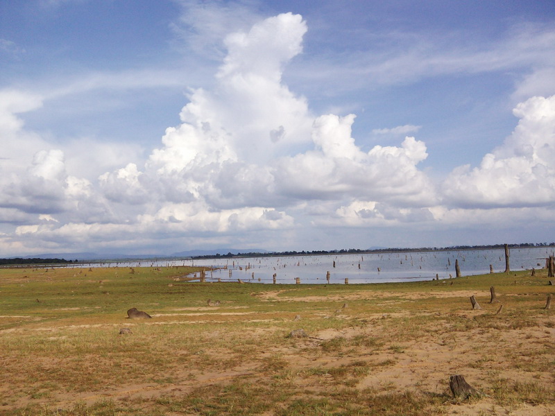 เปลี่ยนหมานครับมาเป็นบ้านหนองแวง