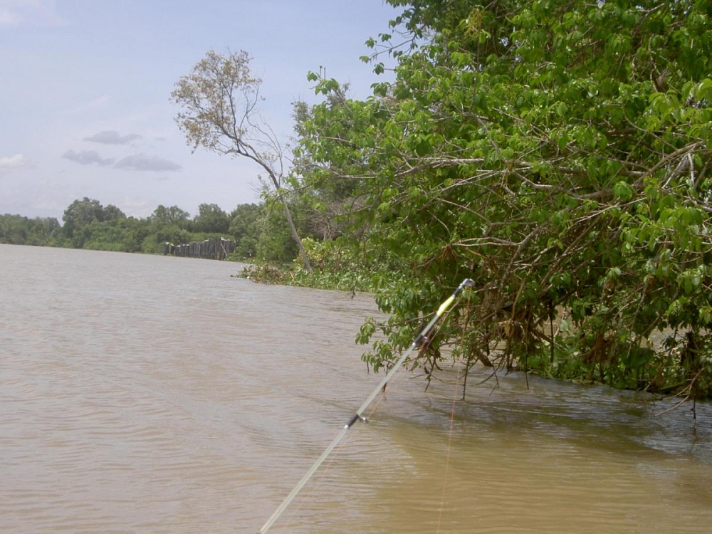 


สภาพหมายที่ตระเวนตามหาน้องกุ้ง   



