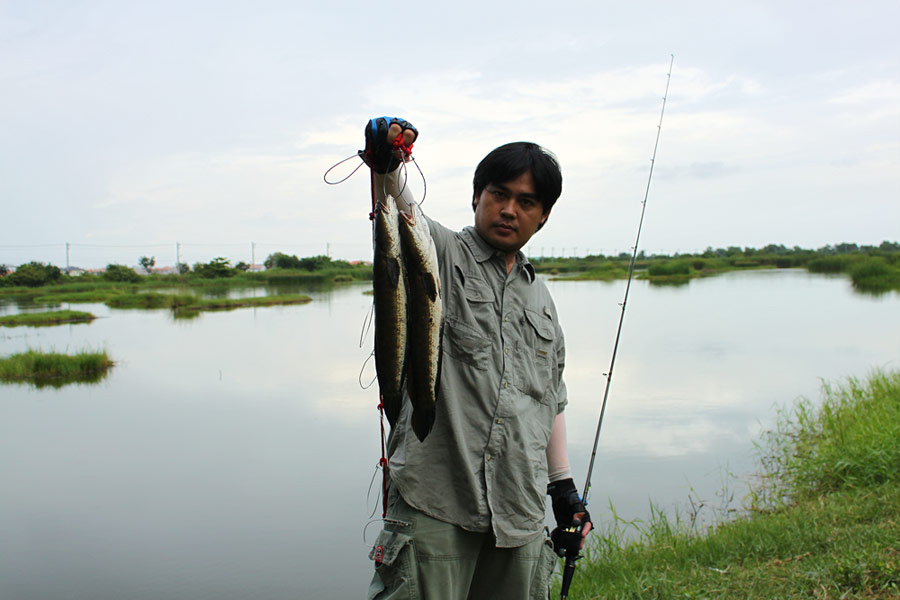 ปลาของผม  :grin: :grin: :grin:
