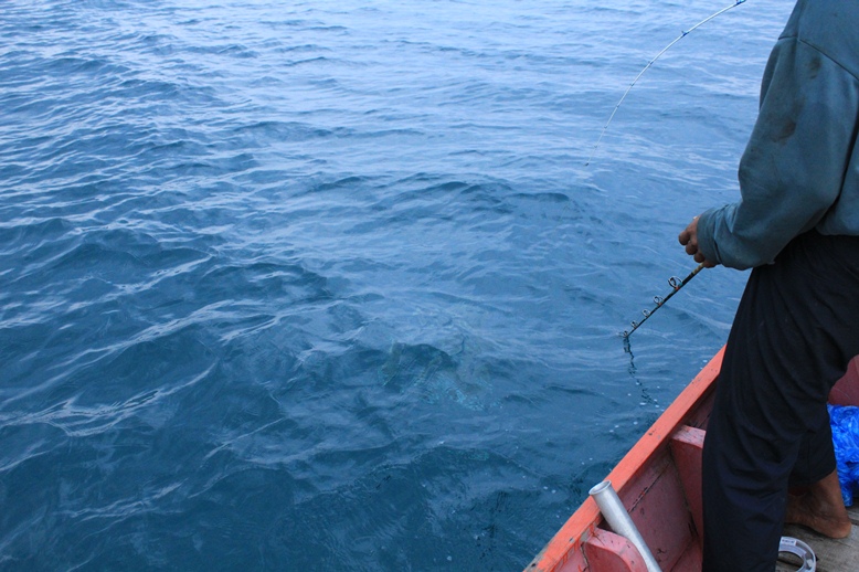 รูปนี้ถ้าสังเกตดีๆจะเห็นเจ้ากระเบนตัวปัญหา อยู่ลึกลงไปประมาณ 3-4 เมตร
พี่วิท พยายามหาวิธีเอาปลาขึ้น