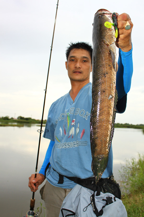 ยังเอามาได้อีก    :grin: :grin: :grin:
