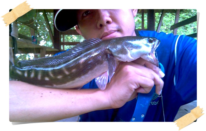 [q][i]อ้างถึง: iml3al3y posted: 13-07-2554, 20:13:57[/i]

รอกสวยมากคับ รอกในฝันของผมเลย :love: :lo