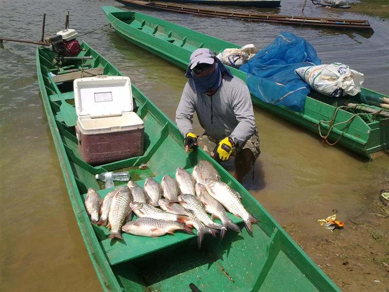         หลังจากนั้นก็วุ่นวายครับปลากัดเหยื่อผมตลอด ขนาดเอาเรือผูกไว้กับตอไม้แล้วนั่งพักกินข้าวกลางวั