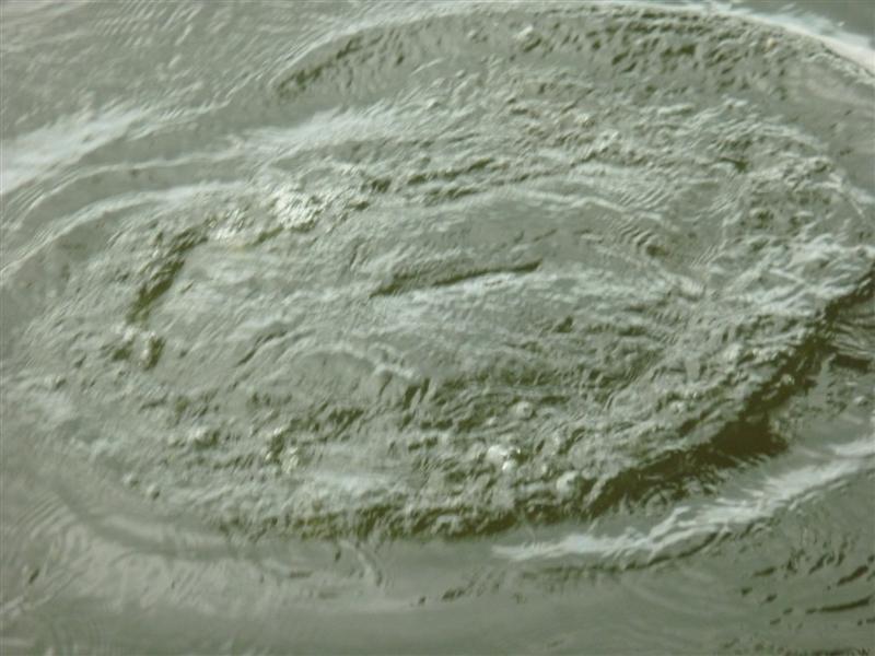 ใกล้แล้วครับ ใกล้ผิวน้ำแล้ว