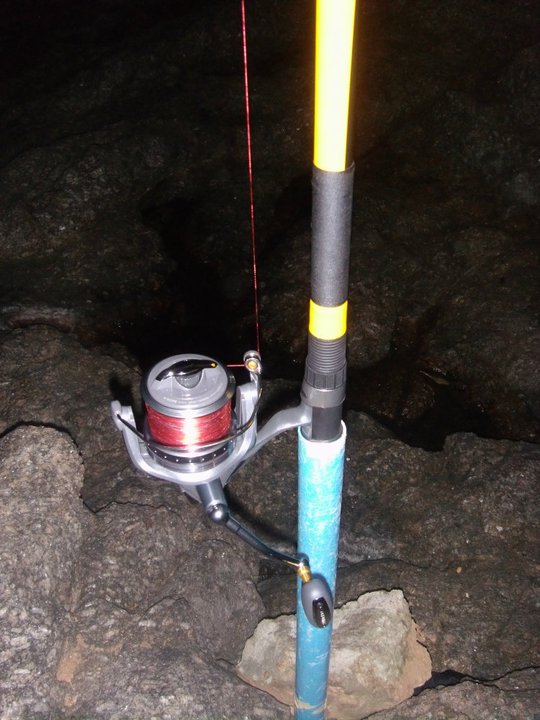  :cheer: :cheer:  shimano beatmaster   :cheer:

reel : shimano fliegen TD