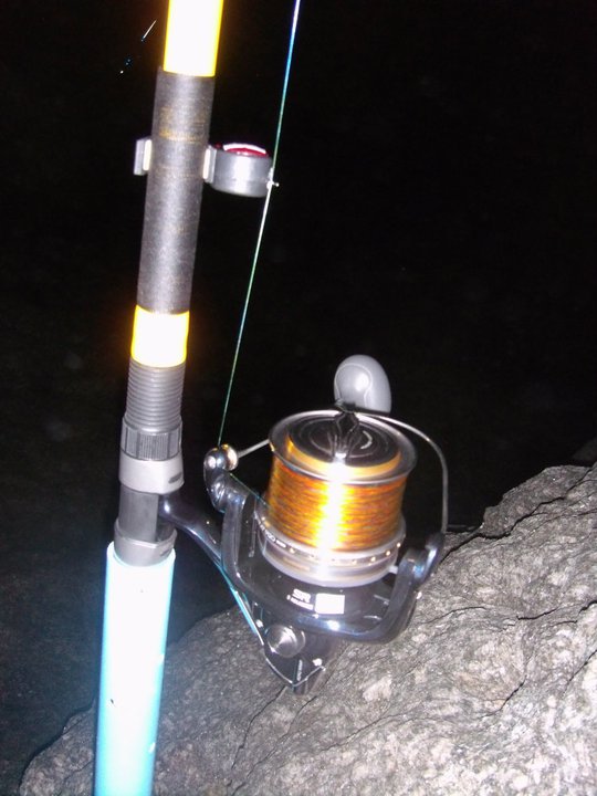 shimano bull eye :cheer: