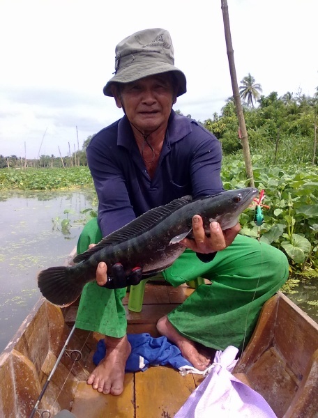 จุดนี้  มีหลายตัวครับเจอหลายที่แล้ว แต่กัดยากจริง วันนี้เจอป๋าไป 1 ตัว :grin: