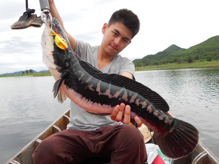 แล้วก็โดนครับ

 :laughing: :laughing: :laughing: