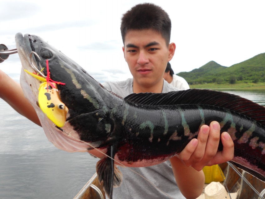 หล่อให้หนักครับ

 :laughing: :laughing: :laughing: