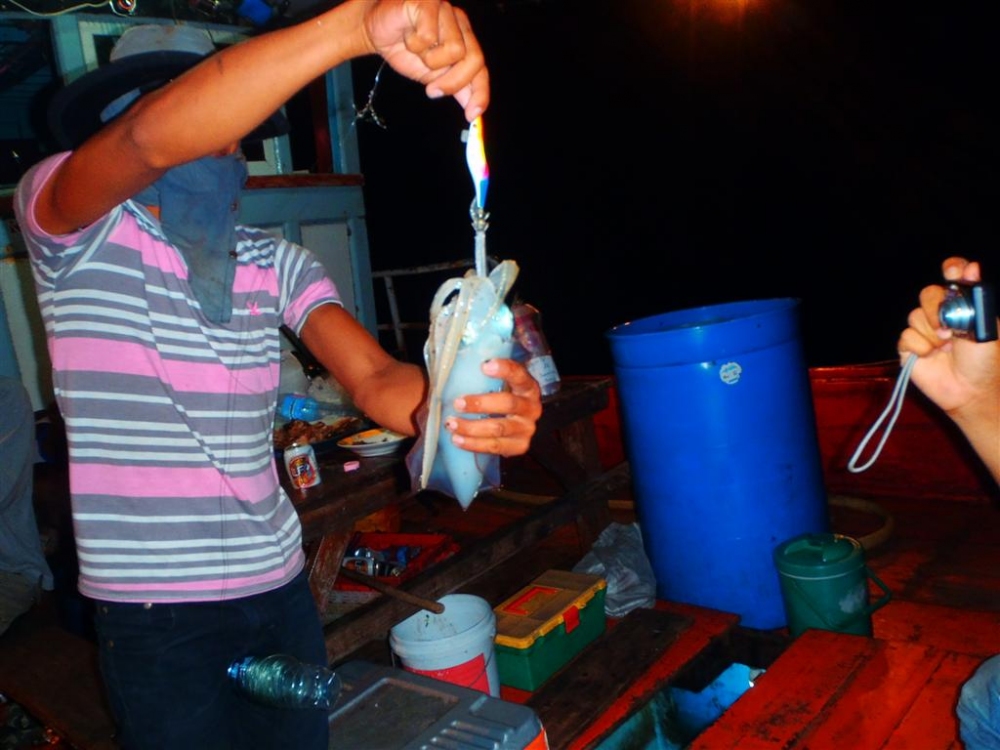 ตัวนี้ผิดคิวครับ 
ลอยมา เลยโดนเกี่ยวขึ้นเรือซะเลย :laughing: :laughing: :laughing: