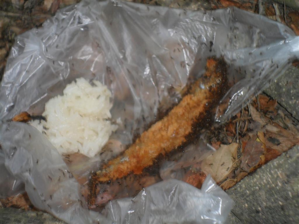   เจ้าของบ้านครับกินกันอิ่มหนำเลย:cool: :cool: :cool: :cool: