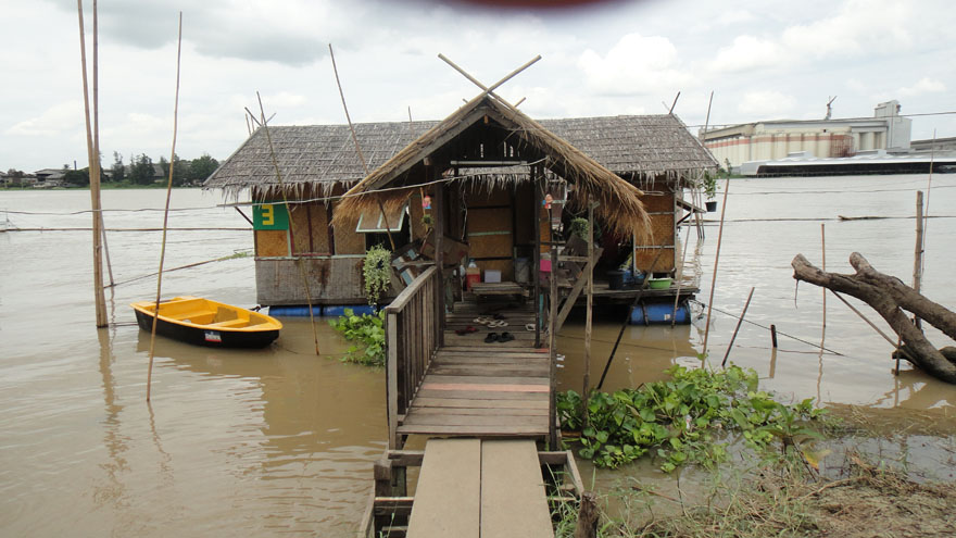 ตะโกก บางไทร ณ. แพลุงเจี๊ยบ