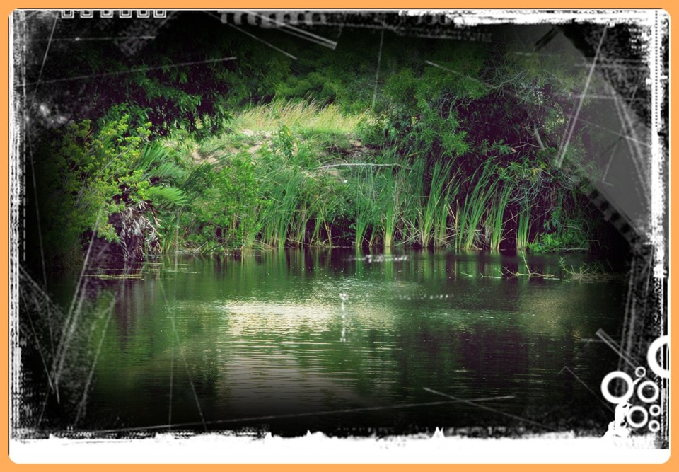 [q][i]อ้างถึง: patipon  rodpon posted: 18-07-2554, 10:43:52[/i]

Where are you ..... 

Are you r