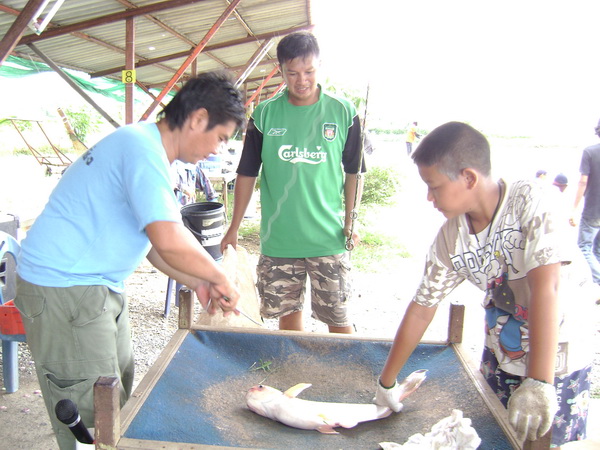 เช็ดมั้ยพี่หม่าว :cool: :cheer: :cheer: :cheer: