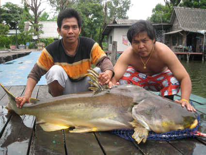 นี้แหละครับวิลลี่ของทริป หัวโตตัวรีบ  :laughing: :laughing: :laughing: :laughing: