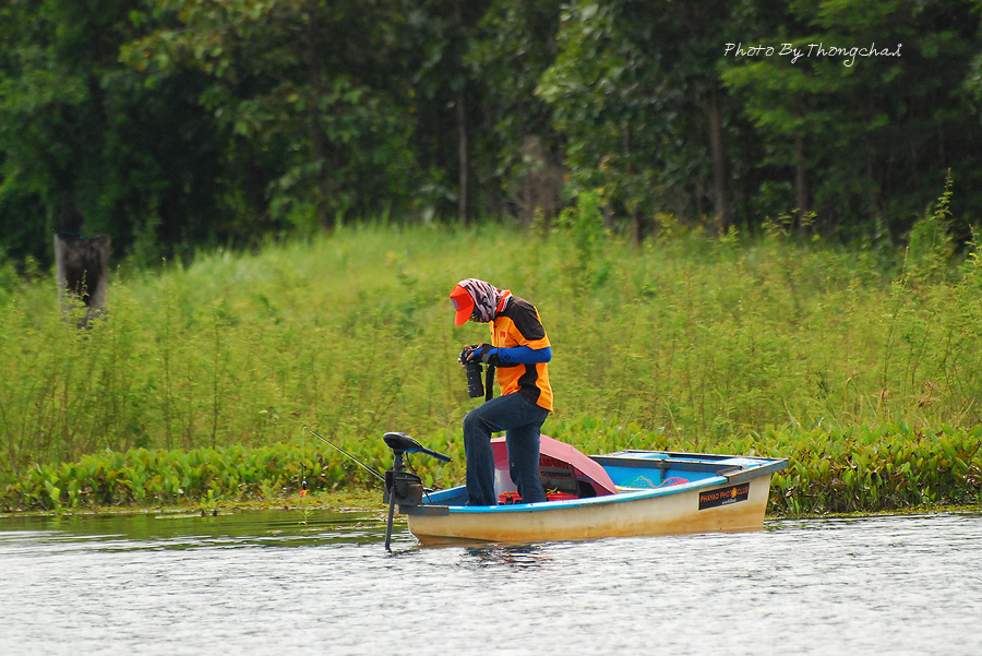 ได้รูปบ้างเปล่าเดียร์ :grin: :grin:


แล้วปลาล่ะเป็นไง :laughing: :laughing: