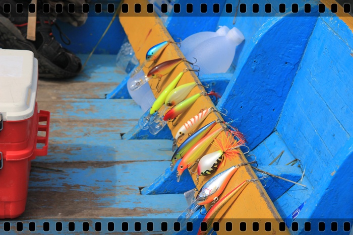 คลังแสง :cheer: