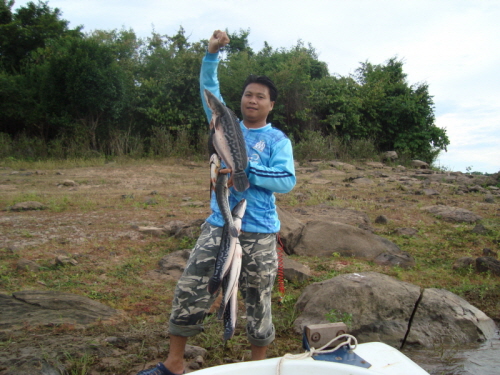 ถ่ายรูปมาน้อยครับ ขอบคุณทุกท่านที่ตามชม :smile: :grin: :laughing:


จบข่าว :cheer: