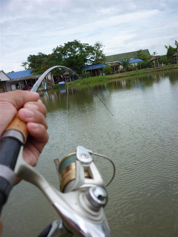 แต่ทุ่นแบบนี้รู้สึกมันง่ายไปหน่อยครับ