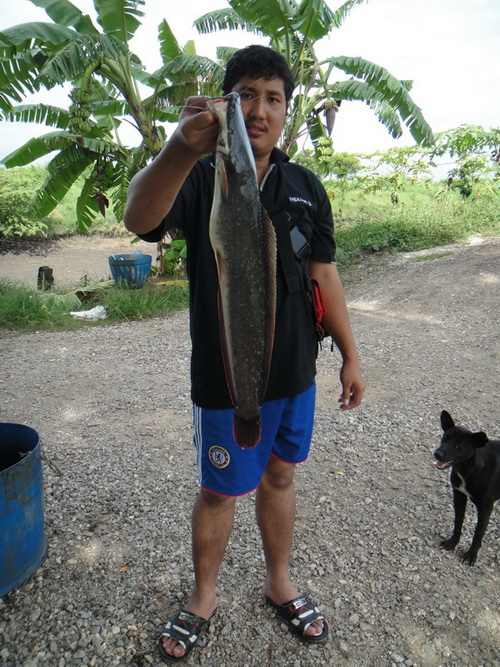 สดๆๆร้อนๆๆ  ผิดคิวครับ
