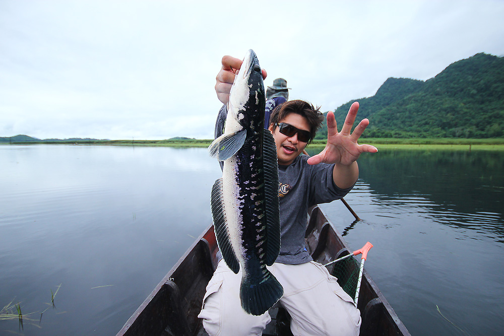[q][i]อ้างถึง: ๐๐Yai๐๐ posted: 20-07-2554, 20:29:02[/i]

+ตามมาเชียร์ด้วยคนค๊าบบบ :love: :love: :l