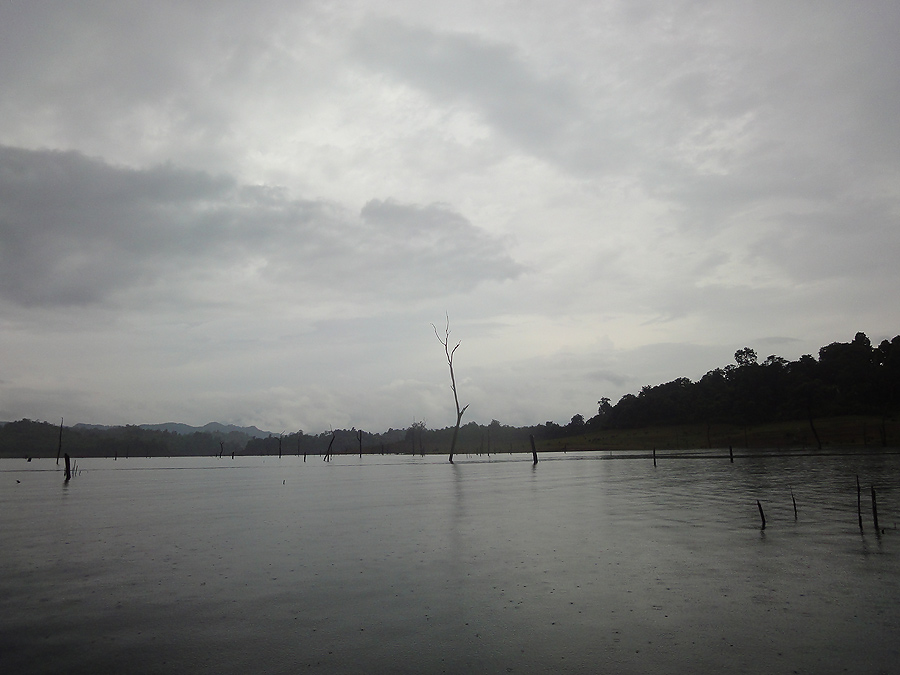  :grin: ช่วงบ่ายได้กระสูบอีกนิดหน่อย ฝนปรอยตลอด เลยไม่ค่อยได้หยิบกล้อง  :grin: