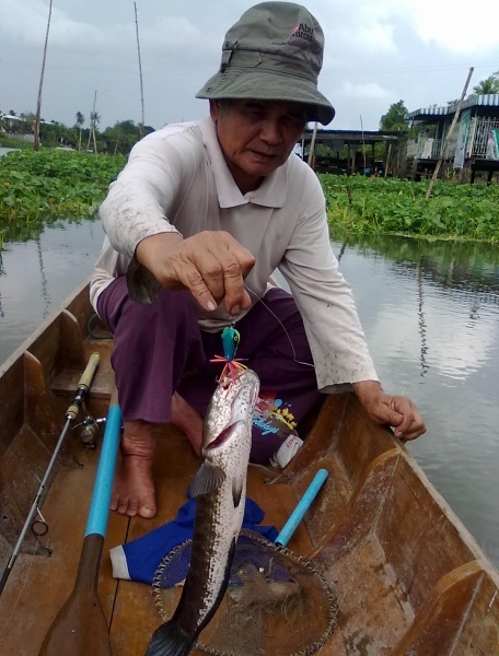 อีกรูป ตัวเก่งผม หลังฟ้า ข้างเหลืองตองอ่อน ท้องขาวมุก ลายดำ
แต่ถูกสั่งปลดประจำการ :cry: :cry: :cry: