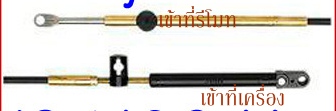 สายของMercuryจะมีหน้าตาแบบนี้