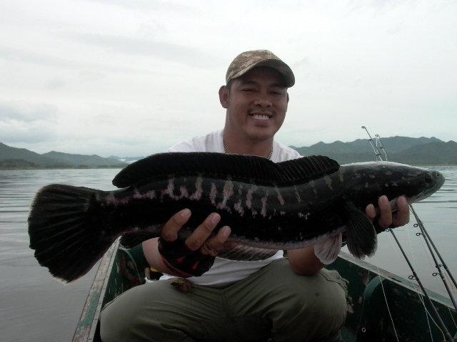 [q][i]อ้างถึง: Mong_Actionlure posted: 22-07-2554, 12:39:06[/i]

+ตามมาชมด้วยคนคร๊าบบบ :grin: :gri