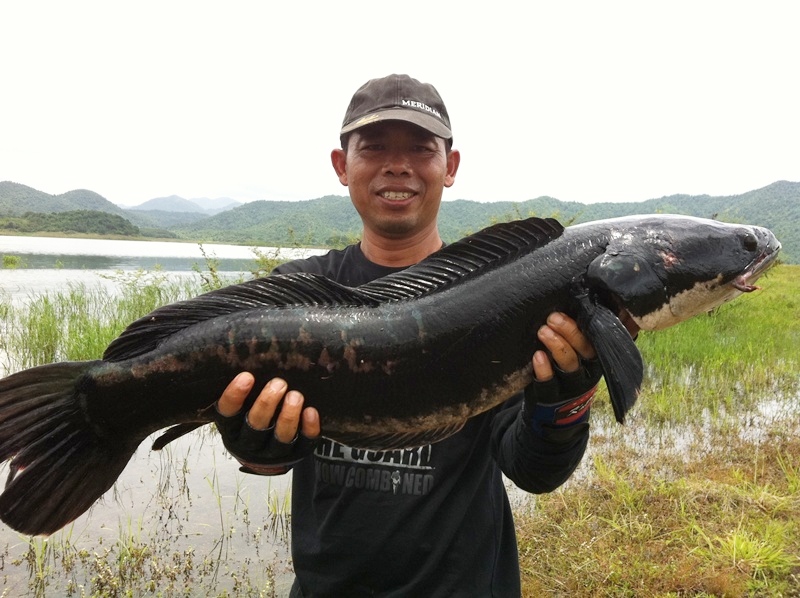 [q][i]อ้างถึง: svfishing posted: 22-07-2554, 14:01:49[/i]

[q][i]อ้างถึง: iron_rose posted: 22-07-