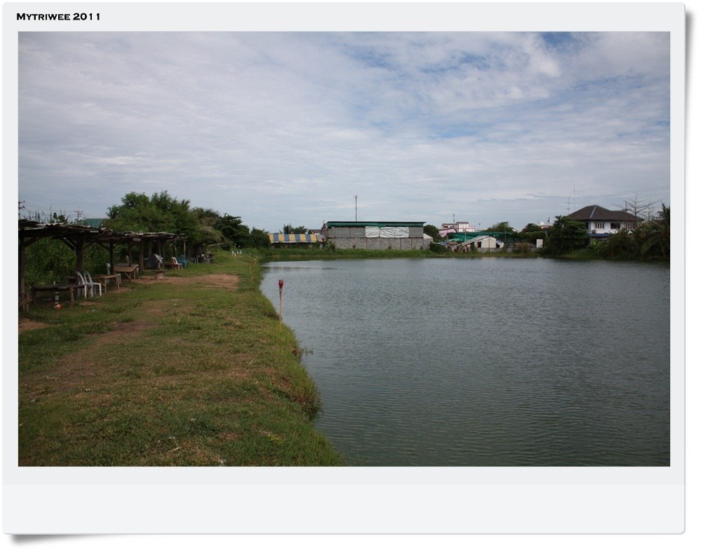 มาเริ่มกันที่บ่อ DD fishingpark บ่อเล็กๆแถวลำลูกกาคลองสอง :grin: