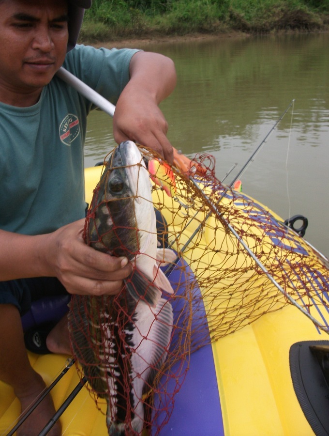 ดีๆนะพี่เรือยางนะ