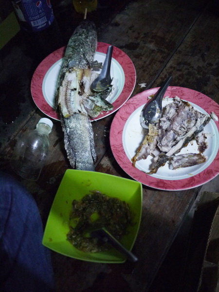 มีปลานางแบบหุ่นดีเผาเหลือ ให้ชมกัน