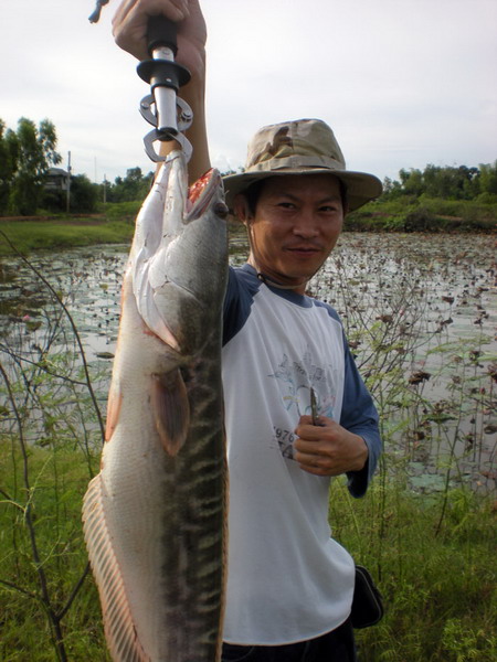 น้าโตก็ขอหล่อด้วยอีกแรง....หล่อจิงๆ (อีกแล้ว...ทำไมน้าโตถือปลาถ่ายรูปดูตัวใหญ้ใหญ่.....งง :think: :t