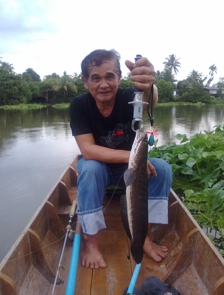 ตัวนี้ครับ กัดตูม วัดควับ  โดดเป็นเมตรครับ แล้วก็มุดผักบุ่ง มุดท้องเรือ ดีที่ป๋าช่วยพายเรือให้ :grin