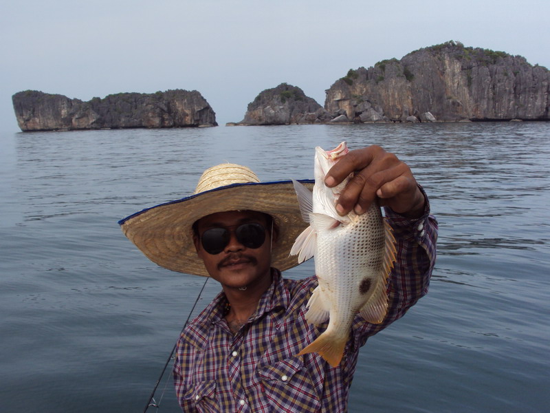 ช่างพงษ์ครับ  ภาพวันแรกโดนข้ามเห็น�
