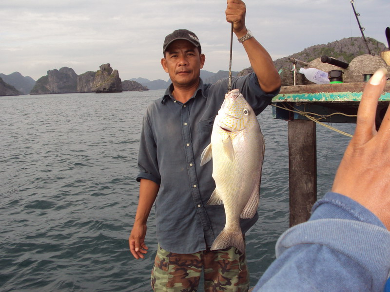 พี่หมู่กุ้งครับ      ขวัญใจน้องๆแถวๆไ�