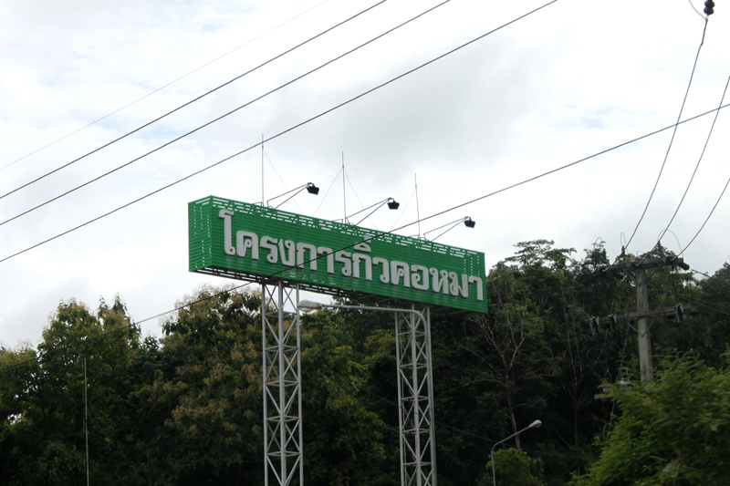 ถีงซะที ... วันนี้ฟ้าหม่นน่าดูเลยครับ